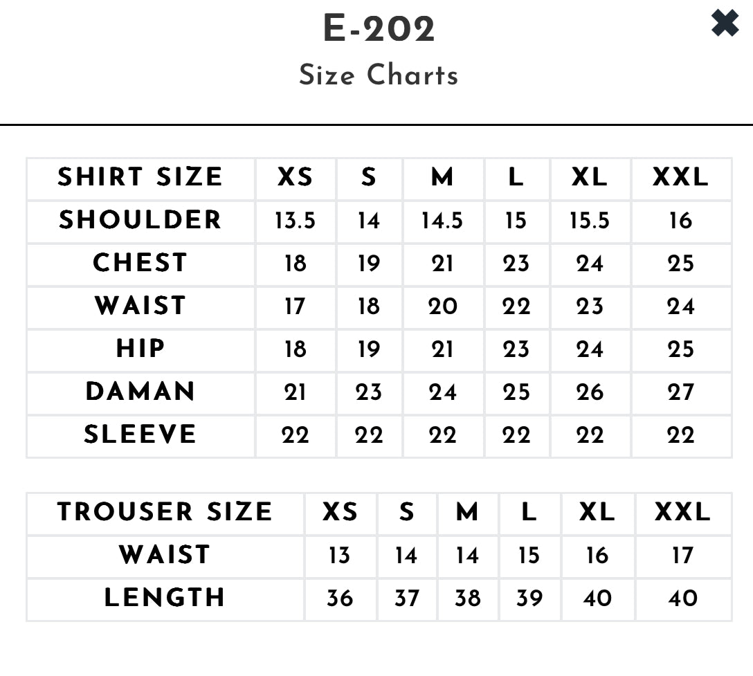 E-202 | Embroidered Organza Gown with Dupatta
