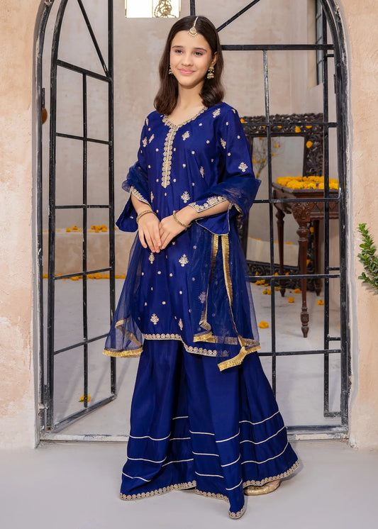 Blue Rawsilk Embroidered 3 Piece Gharara