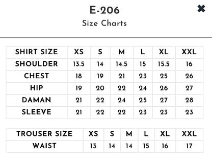 E-206 | Embroidered Organza Suit with Dupatta