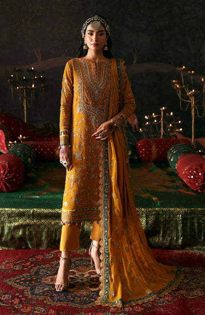 EA-Roshan Jahan 3PC stitched chiffon and organza suit front view Model