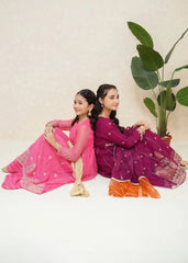 3 Piece Embroidered Organza Suit
