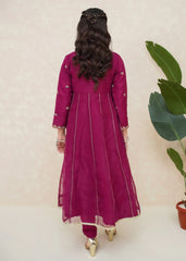 3 Piece Embroidered Organza Suit