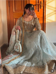 Organza Embellished Peshwas
