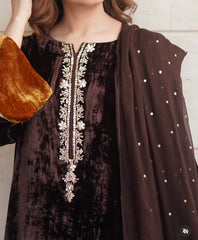 Color Block Luxury French Velvet Dress