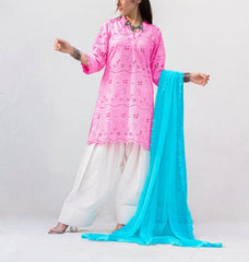 MSP-0011-Zimal | Pink & Blue Dress Chicken Kari - 3 Piece
