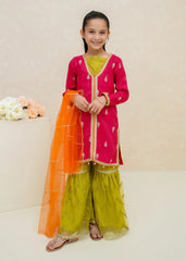 3 Piece Rawsilk Embroidered Gharara