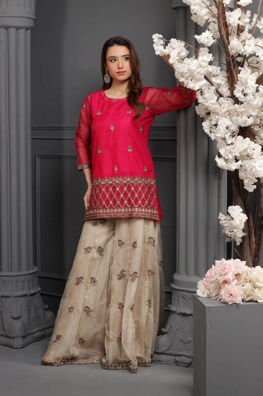 NF-6188 Organza Embroidered Shirt & Gharara