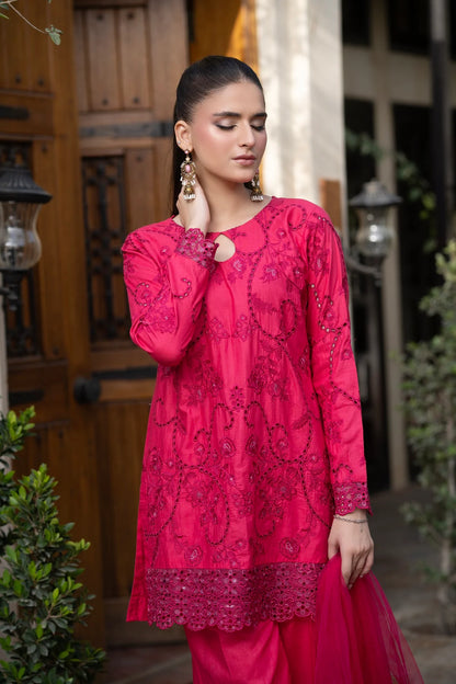 2 piece - NF-6263 Cotton Embroidered | Stitched Suit
