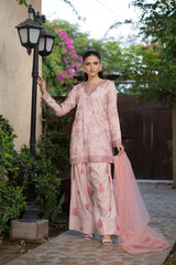 NF-6326 Light Pink Cotton Embroidered | Stitched Suit