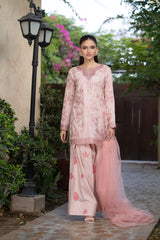 NF-6326 Light Pink Cotton Embroidered | Stitched Suit
