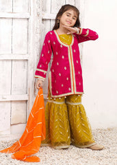 3 Piece Rawsilk Embroidered Gharara