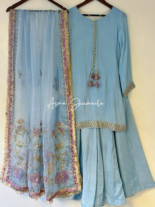 Ice blue silk with Handpainted dupatta
