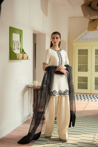 Raya – Luxury Sheesha Silk Shalwar Kameez with Organza Dupatta