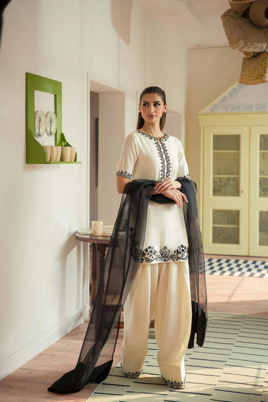 Raya – Luxury Sheesha Silk Shalwar Kameez with Organza Dupatta