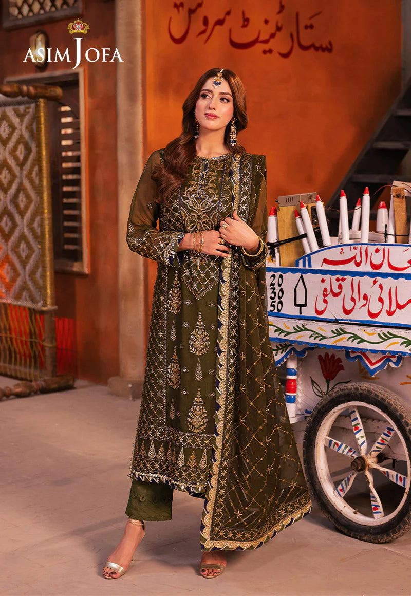 Asim Jofa luxury green chiffon dupatta with embroidered borders – Mahaba Studio USA