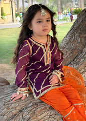 3 Piece Embroidered Chiffon Purple Suit