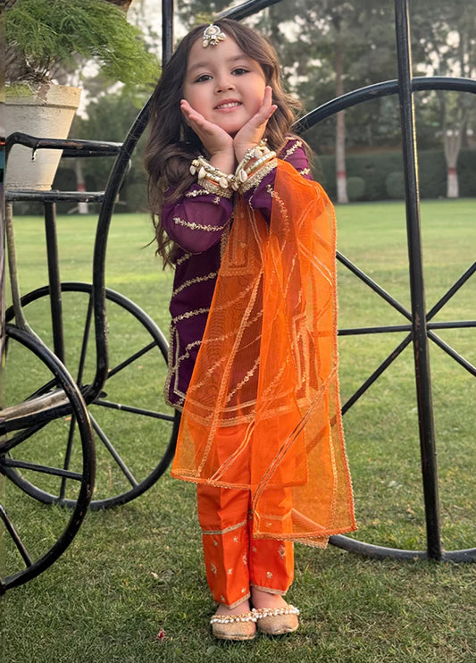 3 Piece Embroidered Chiffon Purple Suit