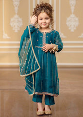 3 Piece Chiffon Embroidered Suit