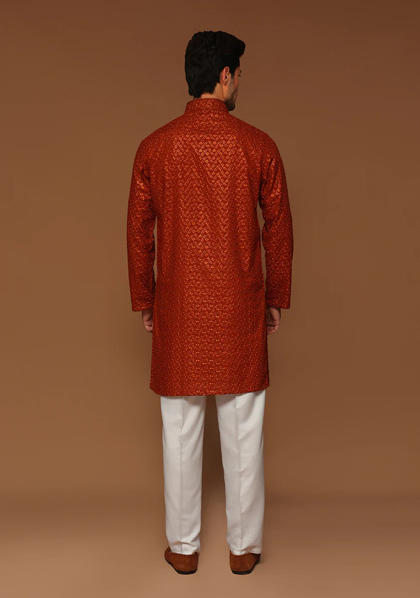 Basic Cotton Umber Slim Fit Kurta back