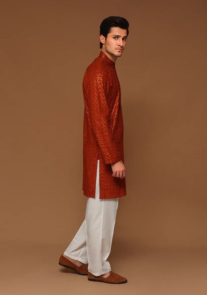 Basic Cotton Umber Slim Fit Kurta full