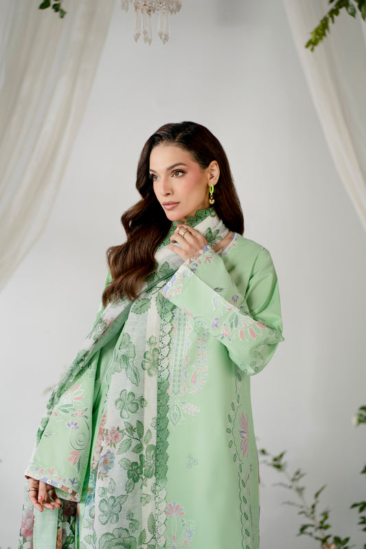 Atiya Irfan Collection 02