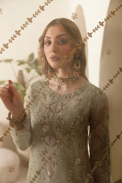 Ramsha E-102 Printed Organza Suit