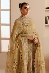 E-205 Organza Outfit with Net Dupatta