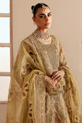 Ramsha E-205 Raw Silk Lined Suit