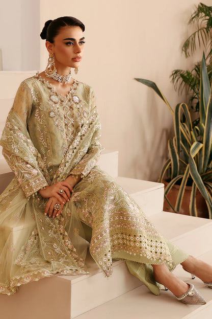 Ramsha E-208 Organza Suit with Net Dupatta