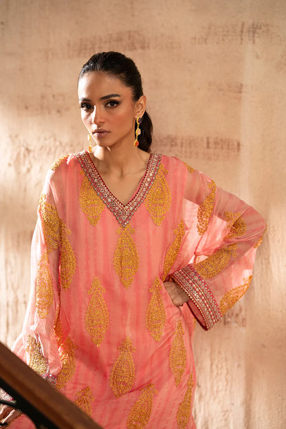Embroidered 2-Piece Suit – Baby Coral