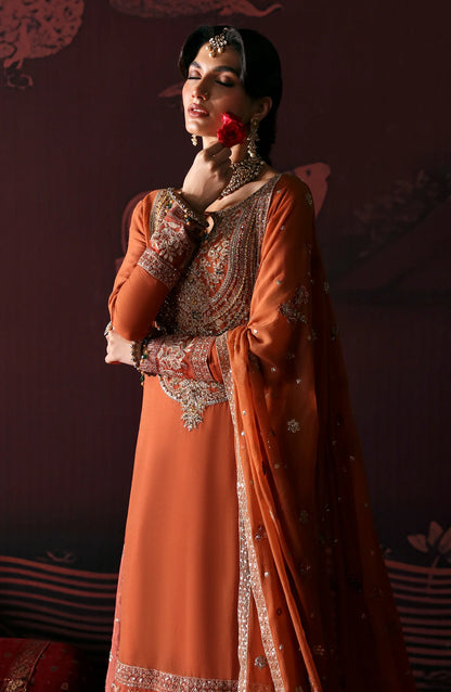 Close-up of chiffon embroidered dupatta with paloo border