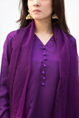 MSP-006-Nourya | Purple With Olive And Purple Color Dupatta