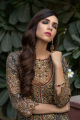 NB-2794 Blue Embroidered Maisori | Stitched Dress