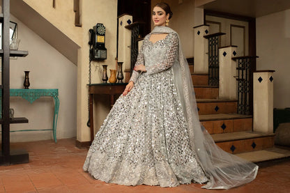 NB-5023 Silver Maisori Handworked Stitched Dress