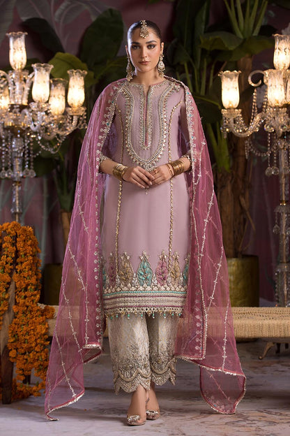 Front view of Hand Embroidered Organza suit with dupatta