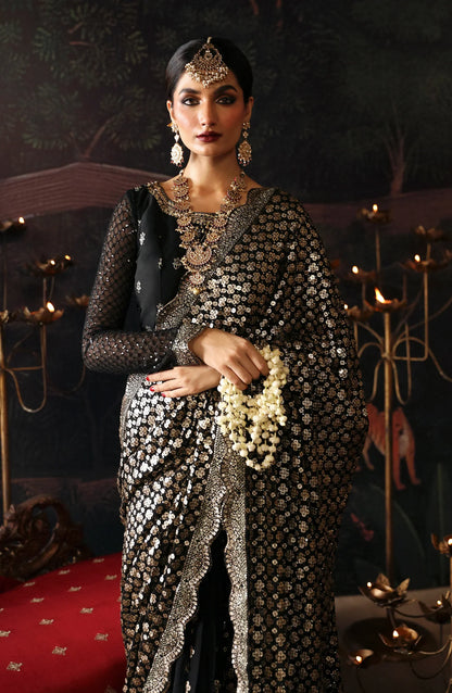 EA-Zeba 3PC stitched chiffon sari front view with embroidered blouse close