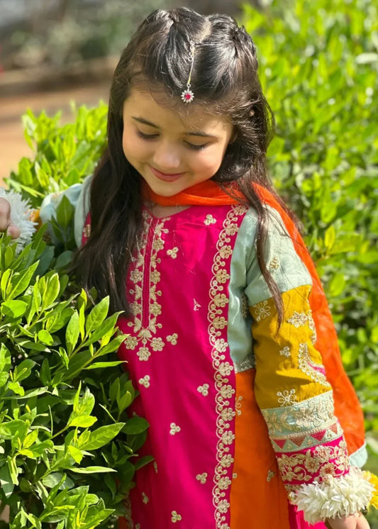 Multi Colour Gharara-KG 013