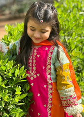 Multi Colour Gharara-KG 013