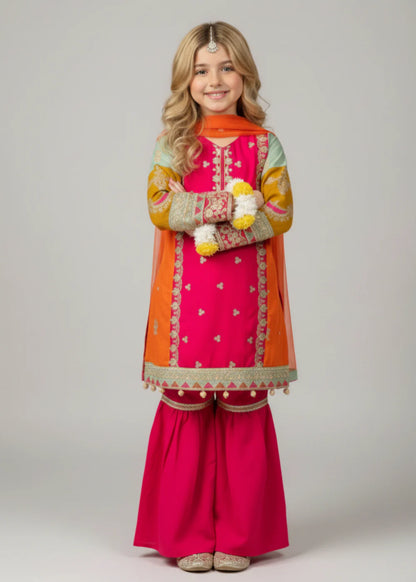 Multi Colour Gharara-KG 013