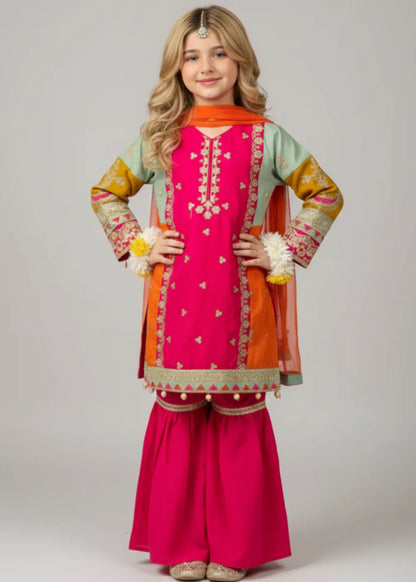 Multi Colour Gharara-KG 013