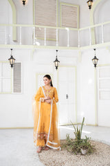 NF-6650 Yellow Chicken Stitched 2PC
